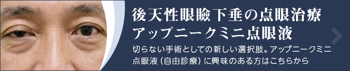 後天性眼瞼下垂の点眼治療アップニークミニ点眼液 切らない手術としての新しい選択肢。アップニークミニ点眼液(自由診療)に興味のある方はこちらから。